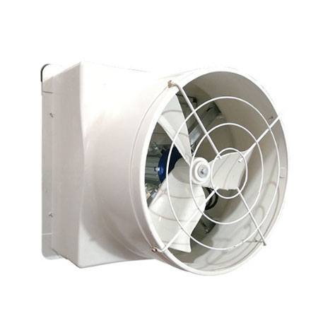 Quạt thông gió Composite 560x560 trực tiếp 5 Quạt thông gió composite 560x560