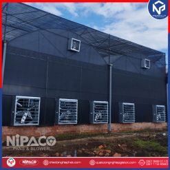 Quạt hút công nghiệp vuông 500x500mm 19 Ứng dụng quạt hút công nghiệp vuông cho nhà xưởng, trang trại