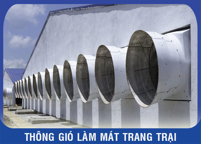 Cung cấp giải pháp thông gió làm mát trang trại chăn nuôi và trồng trọt