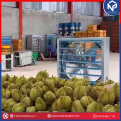Quạt công nghiệp thổi sầu riêng, vựa nông sản 1100x1100 22 Quạt công nghiệp thổi sầu riêng NIPACO